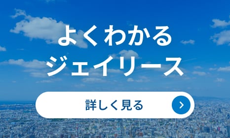 よくわかるジェイリース 詳しく見る